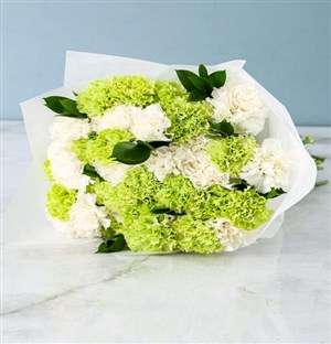 Gorgeous White And Green Carnation Bouquet