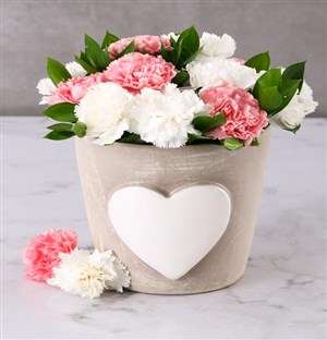 Pink And White Carnations In A Heart Pot