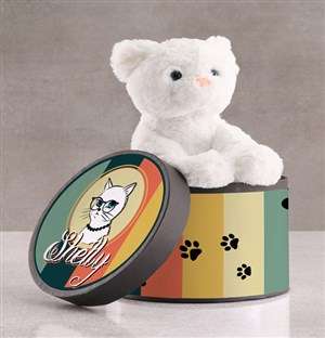 Personalised Cat Teddy In Hat Box