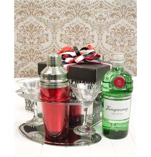 Tanqueray Gin and Martini Fiesta