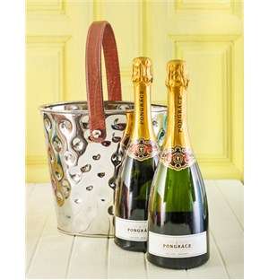 Ice Bucket of Pongracz Champagne