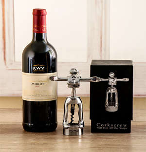 Carrol Boyes Wine Pair
