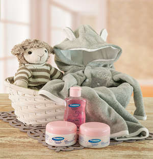 Bundle of Joy Gift Basket
