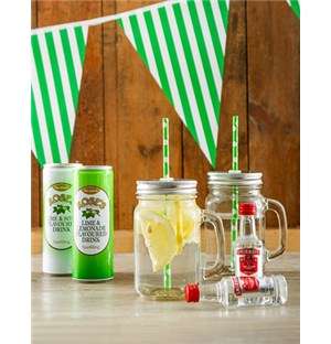 Lemonade and Lime Party