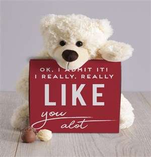 I Really Like You Teddy Hamper