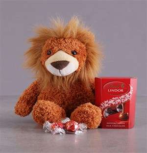 Lion And Lindt Hamper