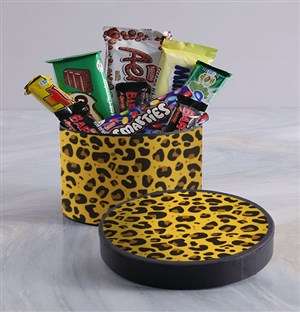 Cheetah Chocolate Box