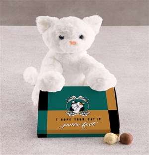 Cat Teddy With Chocolate Tray