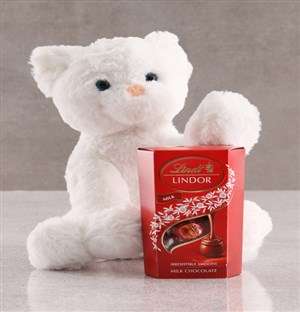 Cat Teddy And Lindt Chocolate