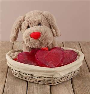 Pawsitively In Love Soap Hamper