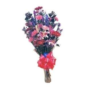 Stargazer Surprise