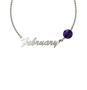 MeMi Identity Silver Birthstone Amethyst Necklace