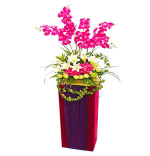 Grand Opening Flowers Blooming Success