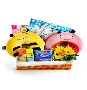Necessities Baby Hamper