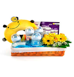 Bountiful Basket of Baby Bottles