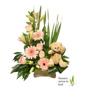 SGNETB2 New Baby Girl Flower Arrangement
