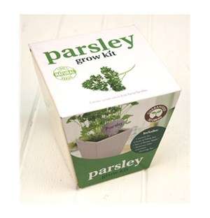 Parsley in a Pot