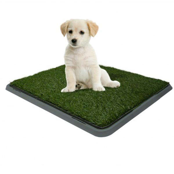 Potty Patch 40 x 50cm
