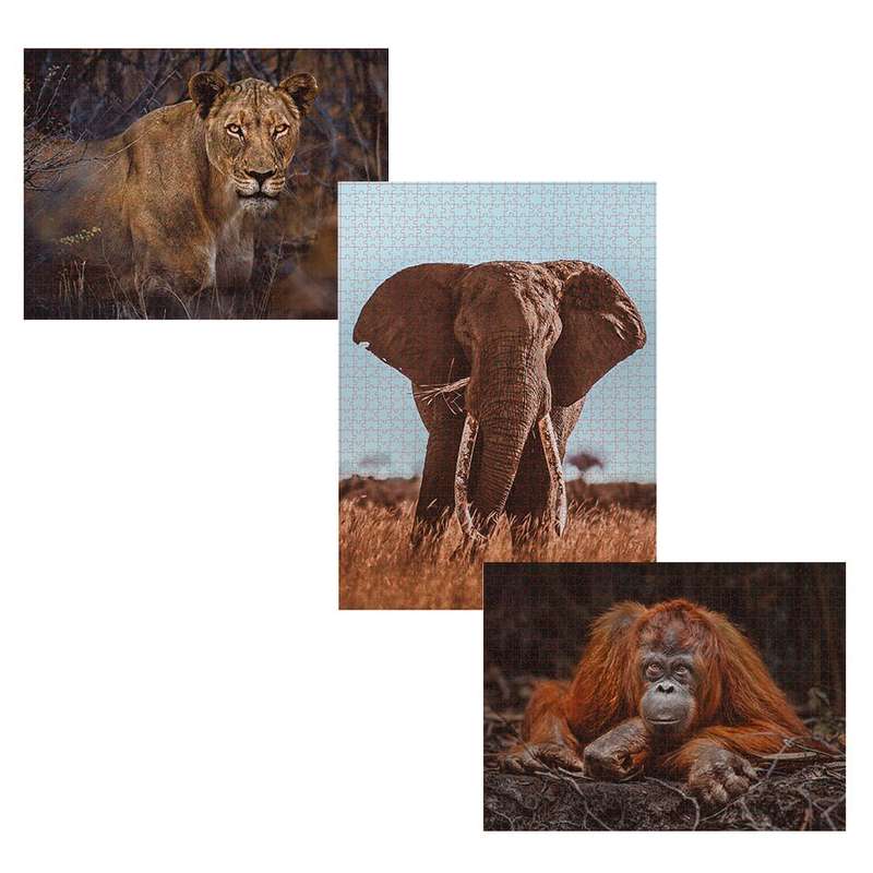 Ambassador - Photographers Collection: 3 x 1000 Piece Puzzle Bundle - Elephant, Lioness and Orang...