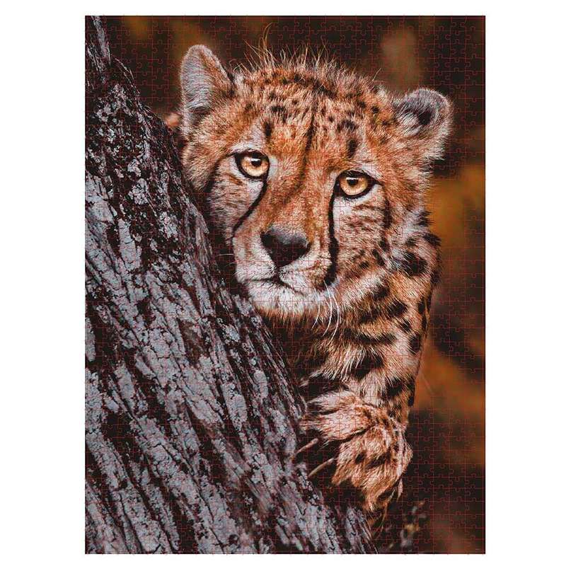 Ambassador - Photographers Collection 1000 Piece Puzzle - Cheetah