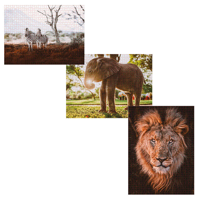 Ambassador - Photographers Collection: 3 x 1000 Piece Puzzle Bundle - An African Affair
