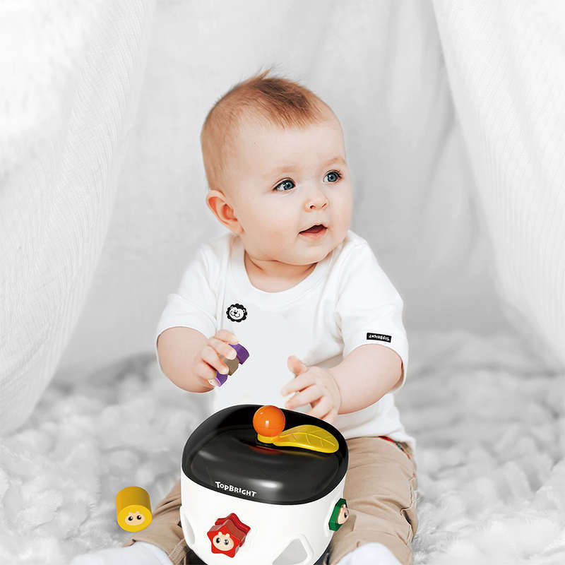 TopBright - Apple Shape Sorter