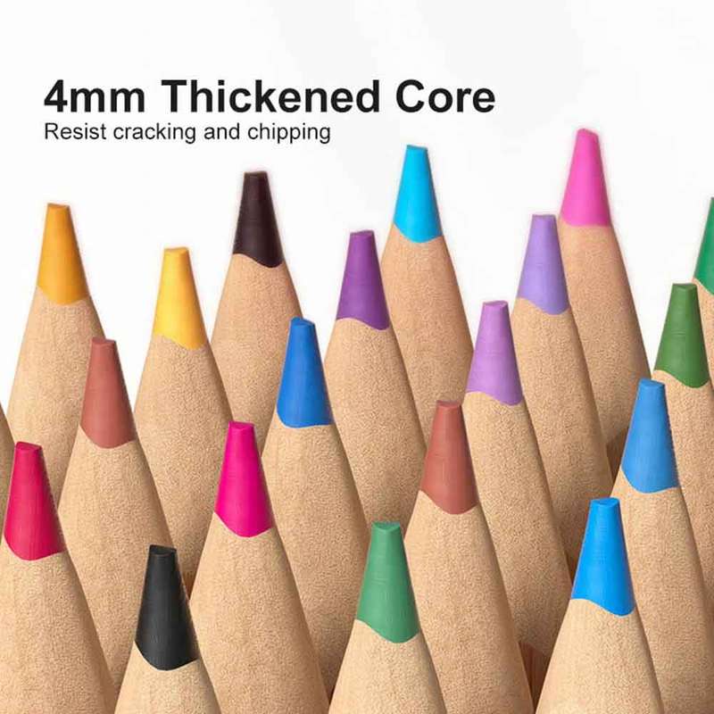 Mideer - Vibrant Coloured Pencil - 24 Colours
