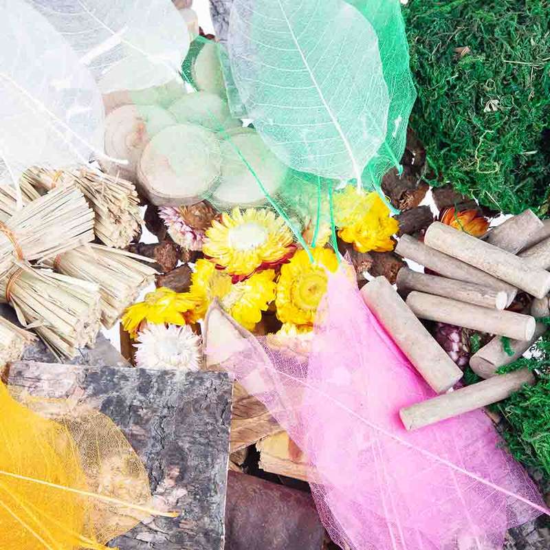 Anthony Peters - Natural Craft & Collage Materials