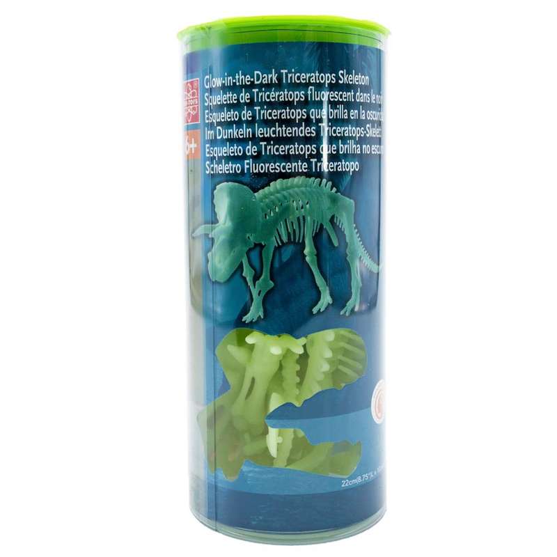 Edu-Toys - Glow in the Dark - Triceratops Skeleton - 22cm