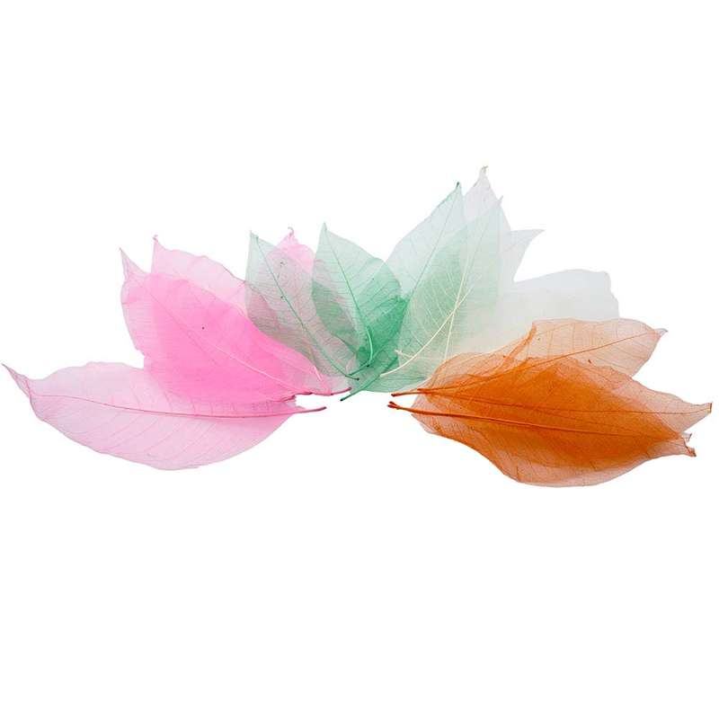 Anthony Peters - Skeleton Leaves - 20pcs