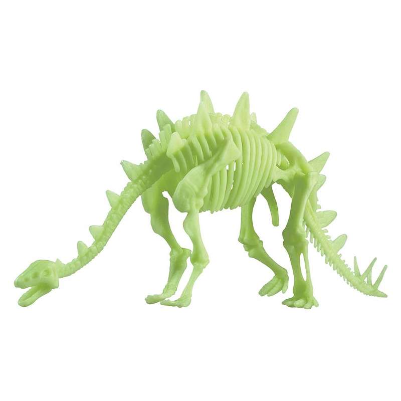 Edu-Toys - Glow in the Dark - Stegosaurus Skeleton - 26cm