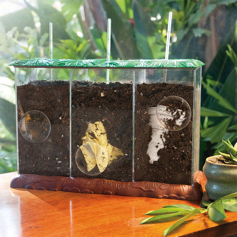 Educational Insights - Now You See It, Now You Don't See-Through Compost Container Demonstrati...