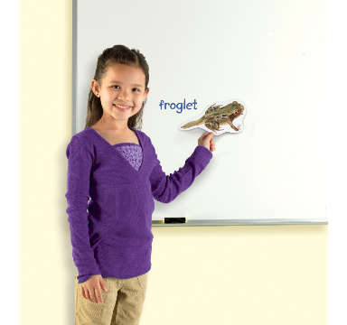 Learning Resources - Giant Magnetic - Frog Life Cycle
