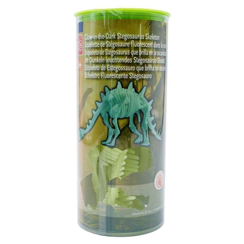 Edu-Toys - Glow in the Dark - Stegosaurus Skeleton - 26cm