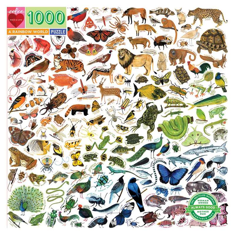 eeBoo - A Rainbow World 1000 Piece Puzzle