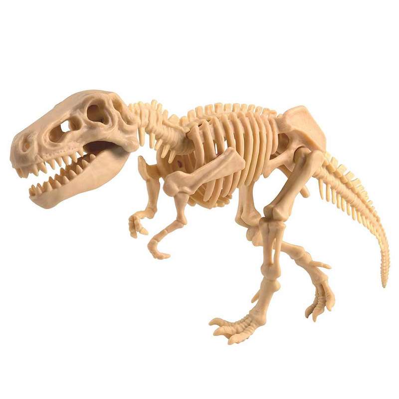 Edu-Toys - Tyrannosaurus Rex - Digit!