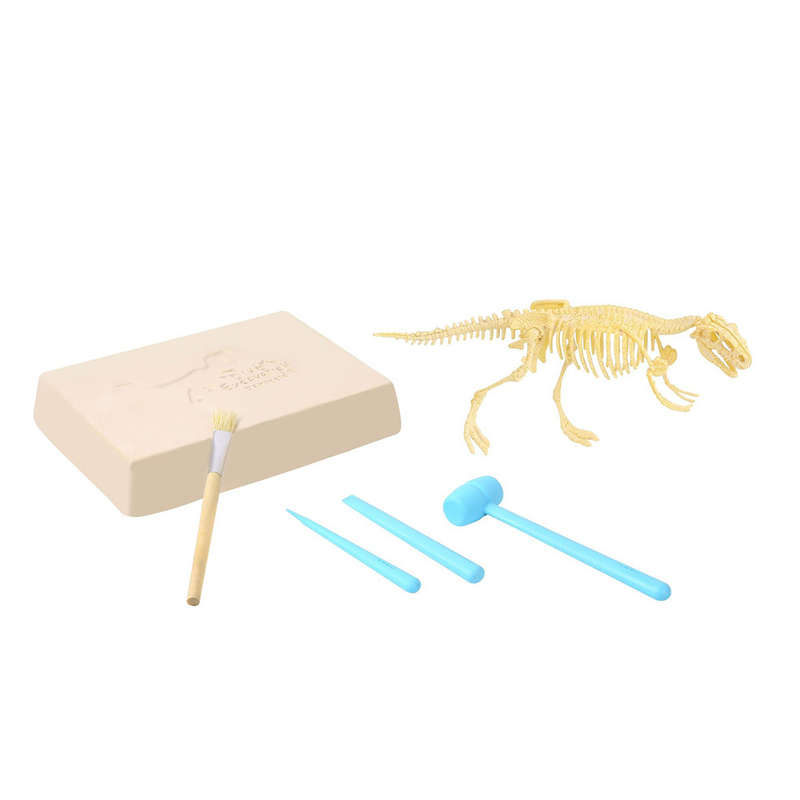 Jar Meló - Fossils Excavation Kit - Tyrannosaurus Rex