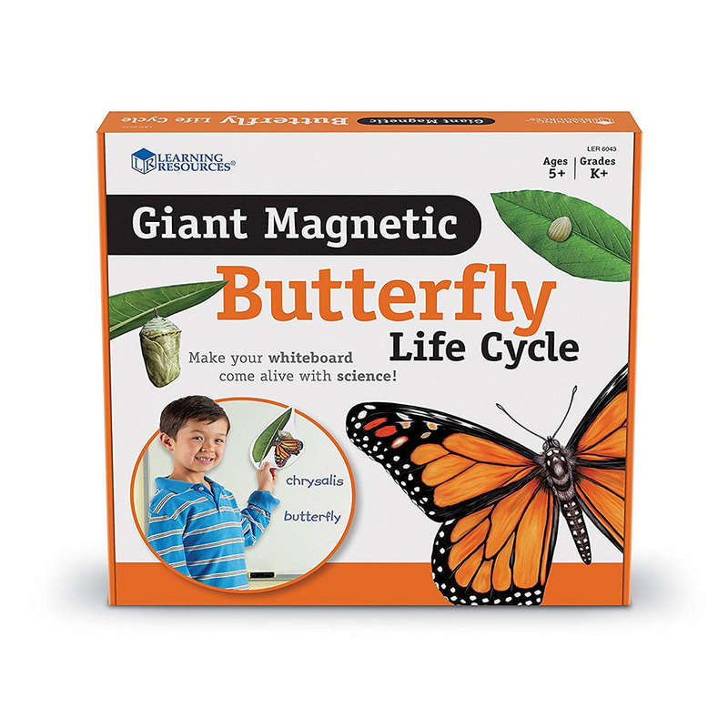 Learning Resources - Giant Magnetic - Butterfly Life Cycle