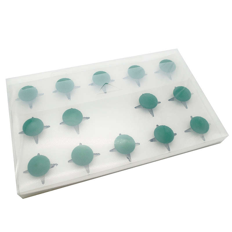 EDX Education - Paint Stamp Jungle 14pc