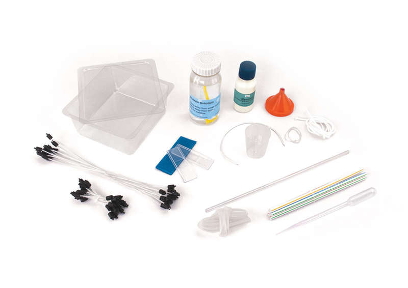Edu-Toys - Go Bubble