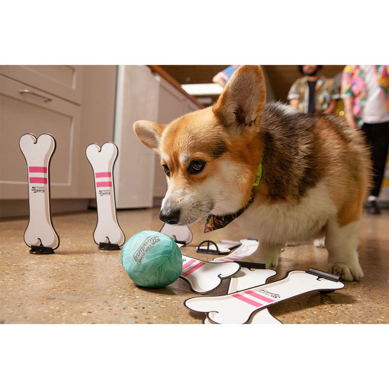 Big Potato Games - Ten Bone Bowling - A Family Party Game for You and Your Dog - 2-10 Players