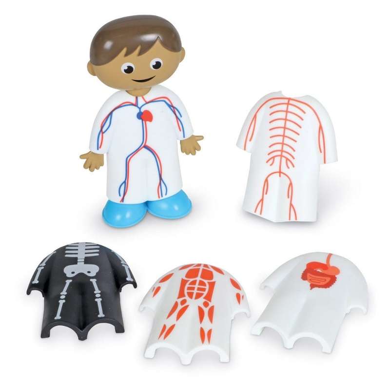 Learning Resources - Skill Builders! Human Body