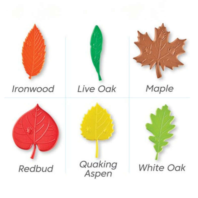 Greenbean Mathematics - Sensory Leaves Math Activity Set
