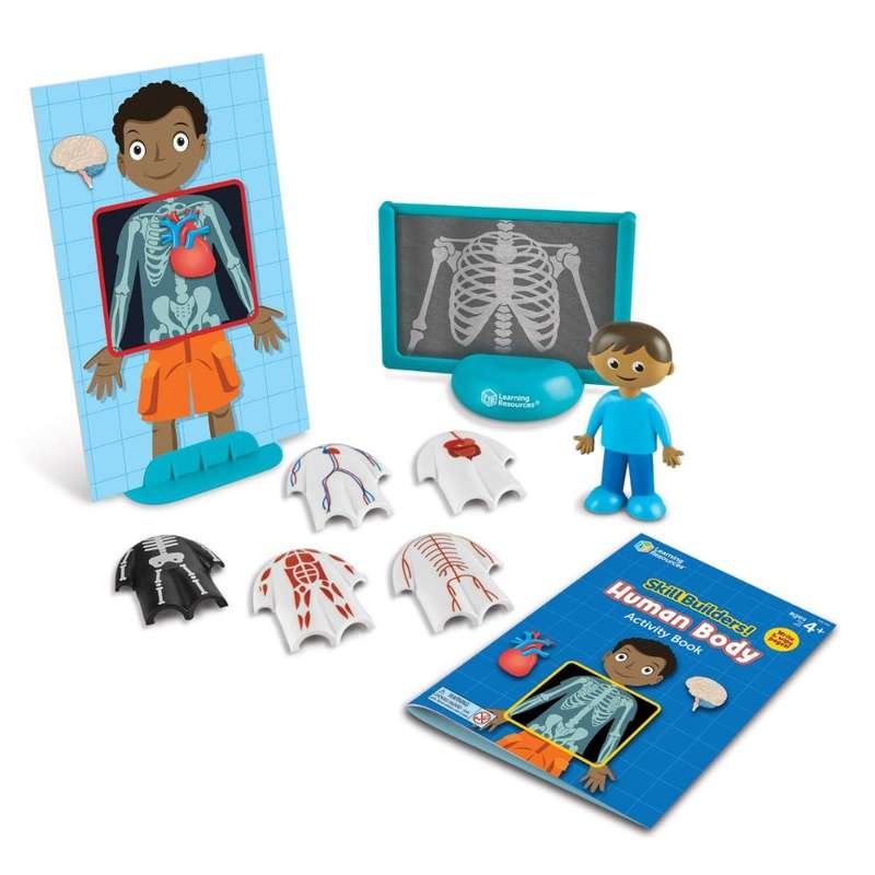 Learning Resources - Skill Builders! Human Body