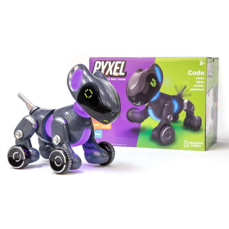 Educational Insights - Pyxel A Coder's Best Friend
