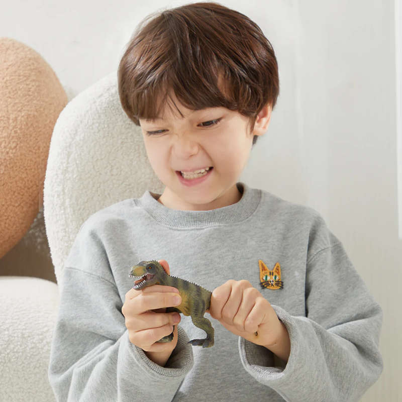 Mideer - Dinosaur Playset - 24 Pieces