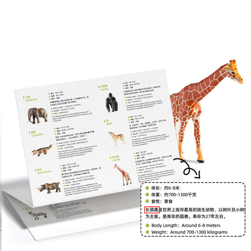 Mideer - Wild Animal Playset - 15 Pieces