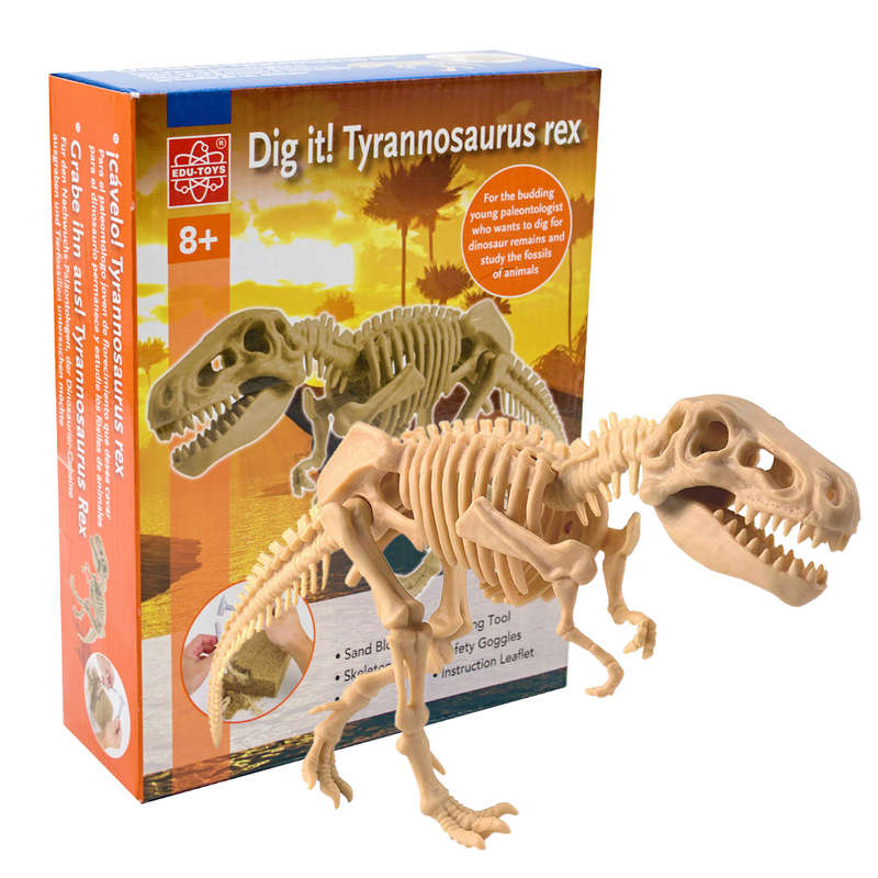 Edu-Toys - Tyrannosaurus Rex - Digit!