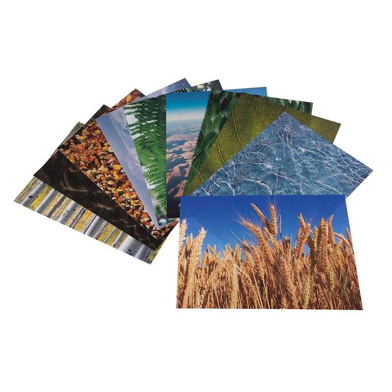 Anthony Peters - Nature Around Us Paper - A4 - 40pcs