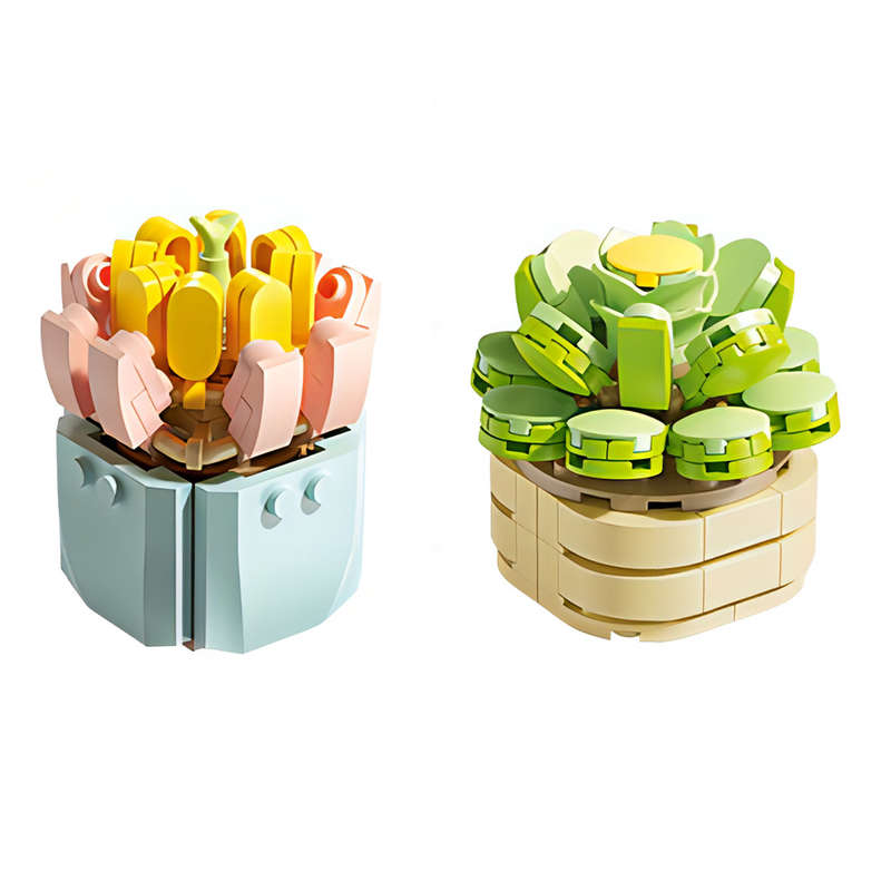 Feelo - Succulent Pot Plants - Set Of 12 - 1051 Pieces